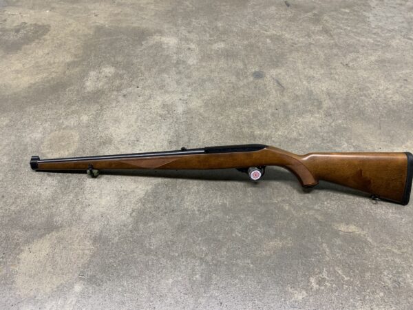 Ruger 10/22